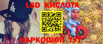 PSILOCYBIN Пугачёв