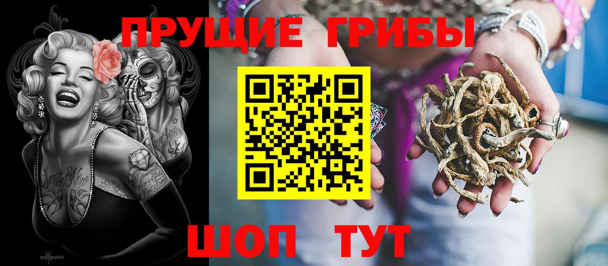 Псилоцибиновые грибы GOLDEN TEACHER Реутов